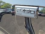 2025 Ford F-150 SuperCrew Cab 4x4 Pickup for sale #250568 - photo 38