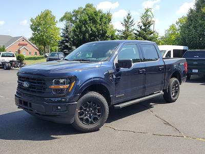 2025 Ford F-150 SuperCrew Cab 4x4 Pickup for sale #250586 - photo 1