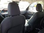 2025 Ford Bronco Sport AWD SUV for sale #250636 - photo 28