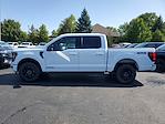 New 2025 Ford F-150 XLT SuperCrew Cab for sale #250753 - photo 38