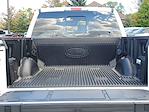 New 2025 Ford F-150 XLT SuperCrew Cab for sale #250855 - photo 28