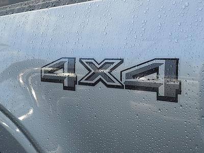 New 2025 Ford F-150 - photo 1