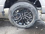 New 2025 Ford F-150 XLT SuperCrew Cab for sale #250895 - photo 33