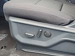 New 2025 Ford F-150 XLT SuperCrew Cab for sale #250914 - photo 24