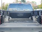 New 2025 Ford F-150 XLT SuperCrew Cab for sale #250914 - photo 30