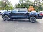 New 2025 Ford F-150 XLT SuperCrew Cab for sale #250914 - photo 35