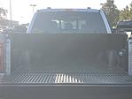 New 2025 Ford F-150 XLT SuperCrew Cab for sale #250930 - photo 24