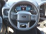 2025 Ford F-150 SuperCrew Cab 4WD Pickup for sale #250988 - photo 29