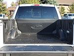 2025 Ford F-150 SuperCrew Cab 4WD Pickup for sale #250988 - photo 30