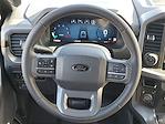 2025 Ford F-150 SuperCrew Cab 4WD Pickup for sale #251013 - photo 29