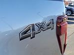 New 2025 Ford F-150 XLT SuperCrew Cab for sale #251014 - photo 32