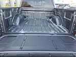 New 2025 Ford F-150 XLT SuperCrew Cab for sale #251060 - photo 28