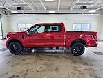 2025 Ford F-150 SuperCrew Cab 4WD Pickup for sale #251079 - photo 39