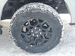 New 2026 Ford F-150 XLT SuperCrew Cab for sale #260156 - photo 35