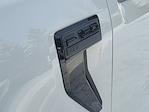 New 2026 Ford F-150 XLT SuperCrew Cab for sale #260156 - photo 37