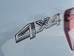 New 2026 Ford F-150 XLT SuperCrew Cab for sale #260156 - photo 38