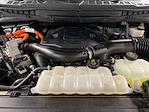 2022 Ford F-150 SuperCrew Cab 4WD Pickup for sale #31590 - photo 46