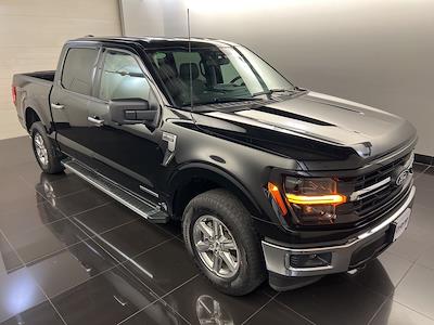 2024 Ford F-150 SuperCrew Cab 4WD Pickup for sale #D31554 - photo 1