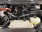 2024 Ford F-150 SuperCrew Cab 4WD Pickup for sale #D31556 - photo 37