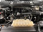 2021 Ford F-150 SuperCrew Cab 4WD Pickup for sale #D31620 - photo 34