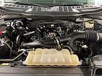 2021 Ford F-150 SuperCrew Cab 4WD Pickup for sale #D31623 - photo 34