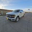 2024 Ford F-150 SuperCrew Cab 4x4 Pickup for sale #62793 - photo 8