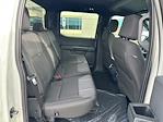 2024 Ford F-150 SuperCrew Cab 4x4 Pickup for sale #62818 - photo 12