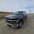 2024 Ford F-150 SuperCrew Cab 4x4 Pickup for sale #62831 - photo 7