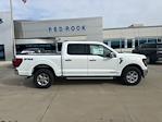 2024 Ford F-150 SuperCrew Cab 4x4 Pickup for sale #62844 - photo 3