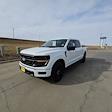 2024 Ford F-150 SuperCrew Cab 4x4 Pickup for sale #62852 - photo 7