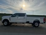 2024 Ford F-350 Crew Cab SRW 4x4 Pickup for sale #62951 - photo 7
