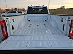 2024 Ford F-350 Crew Cab SRW 4x4 Pickup for sale #62963 - photo 13