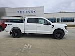 2024 Ford F-150 SuperCrew Cab 4x4 Pickup for sale #63214 - photo 3