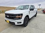 2024 Ford F-150 SuperCrew Cab 4x4 Pickup for sale #63214 - photo 7