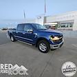 2024 Ford F-150 SuperCrew Cab 4x4 Pickup for sale #63242 - photo 1
