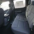 2024 Ford F-150 SuperCrew Cab 4x4 Pickup for sale #63242 - photo 12