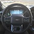 2024 Ford F-150 SuperCrew Cab 4x4 Pickup for sale #63242 - photo 16