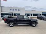 2025 Ford F-150 SuperCrew Cab 4x4 Pickup for sale #63273 - photo 3