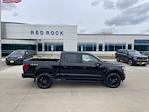 2025 Ford F-150 SuperCrew Cab 4x4 Pickup for sale #63281 - photo 3