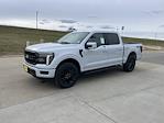 2025 Ford F-150 SuperCrew Cab 4x4 Pickup for sale #63318 - photo 9