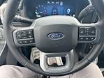 2025 Ford F-150 SuperCrew Cab 4x4 Pickup for sale #63333 - photo 20