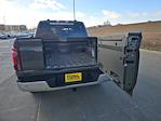 2025 Ford F-150 SuperCrew Cab 4x4 Pickup for sale #63344 - photo 13