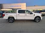 2025 Ford F-150 SuperCrew Cab 4x4 Pickup for sale #63347 - photo 3