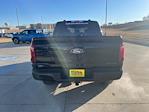 2025 Ford F-150 SuperCrew Cab 4x4 Pickup for sale #63348 - photo 4