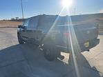 2025 Ford F-150 SuperCrew Cab 4x4 Pickup for sale #63348 - photo 5
