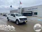 2025 Ford F-150 SuperCrew Cab 4x4 Pickup for sale #63404 - photo 1