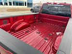 2025 Ford F-250 Crew Cab 4x4 Pickup for sale #63414 - photo 15