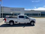 2025 Ford F-250 Crew Cab 4x4 Pickup for sale #63454 - photo 3