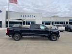 2025 Ford F-250 Crew Cab 4x4 Pickup for sale #63478 - photo 3