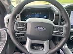 2025 Ford F-150 SuperCrew Cab 4x4 Pickup for sale #63483 - photo 15